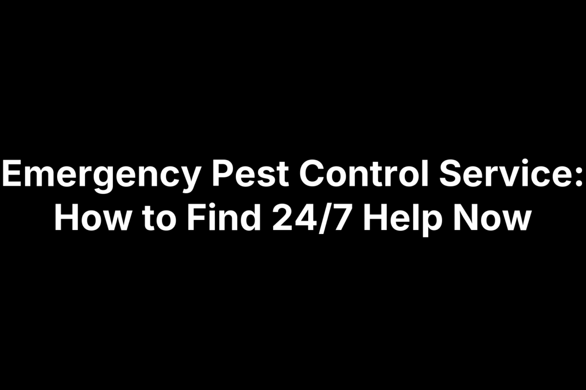 Emergency Pest Control Service: How to Find 24/7 Help Now