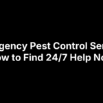 Emergency Pest Control Service: How to Find 24/7 Help Now