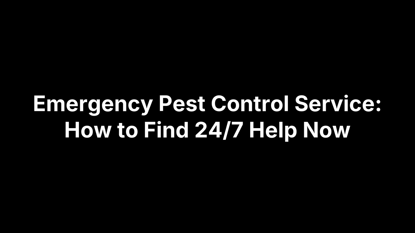 Emergency Pest Control Service: How to Find 24/7 Help Now