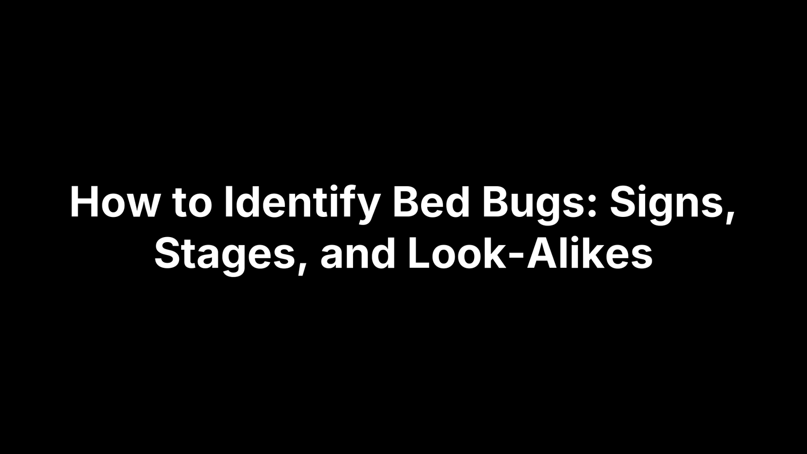 How to Identify Bed Bugs: Signs, Stages, and Look-Alikes