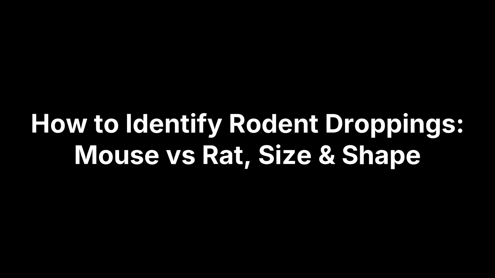 How to Identify Rodent Droppings: Mouse vs Rat, Size & Shape