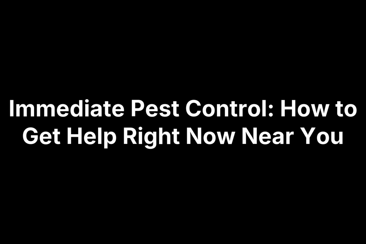 Immediate Pest Control: How to Get Help Right Now Near You