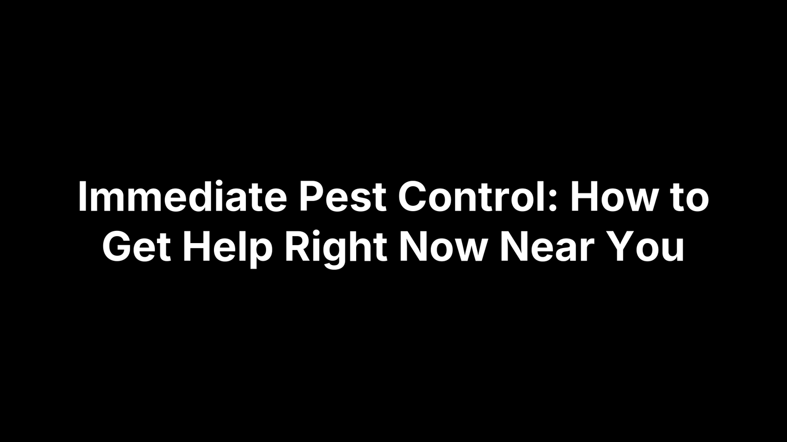 Immediate Pest Control: How to Get Help Right Now Near You