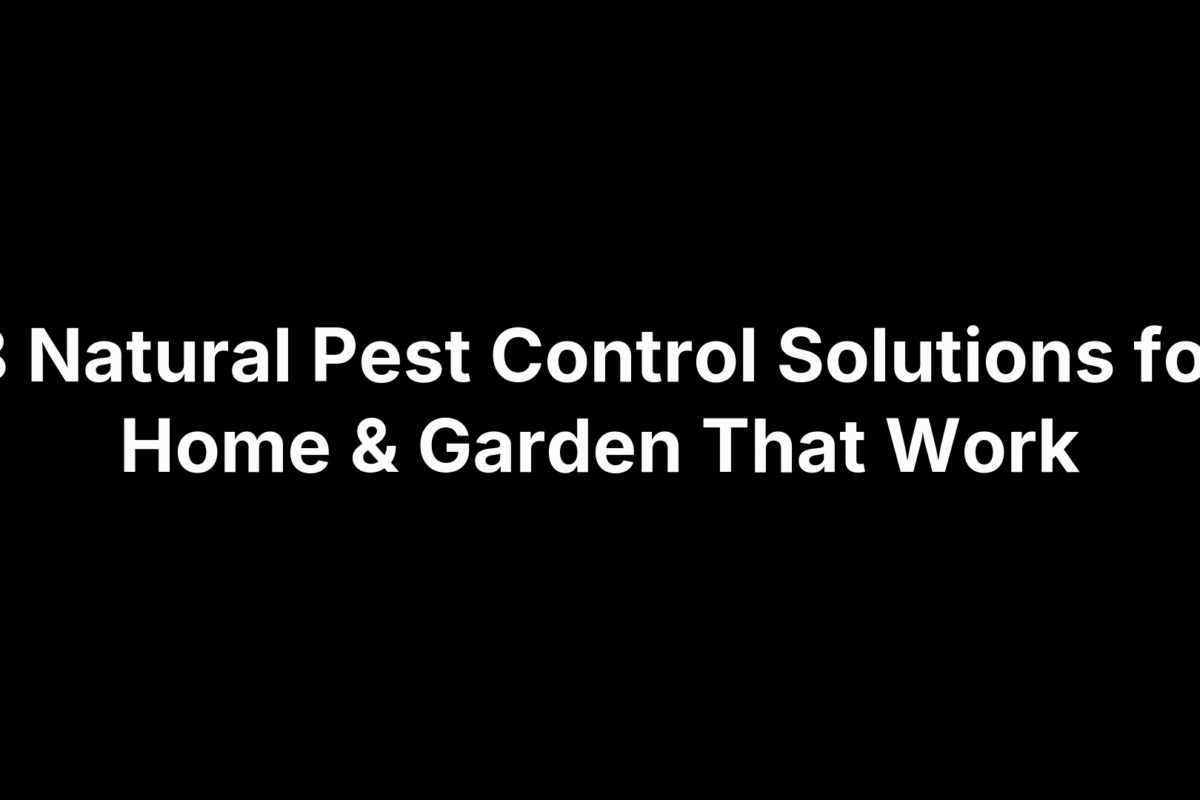 8 Natural Pest Control Solutions for Home & Garden That Work