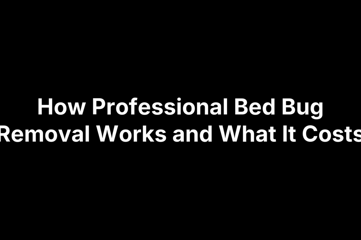 How Professional Bed Bug Removal Works and What It Costs