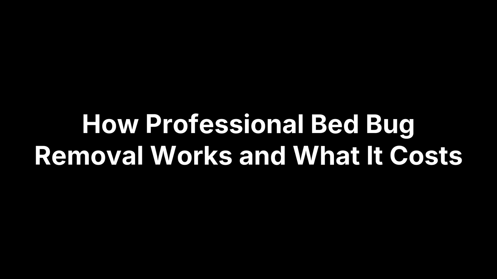 How Professional Bed Bug Removal Works and What It Costs