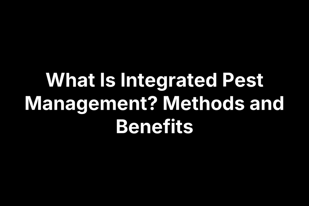 What Is Integrated Pest Management? Methods and Benefits