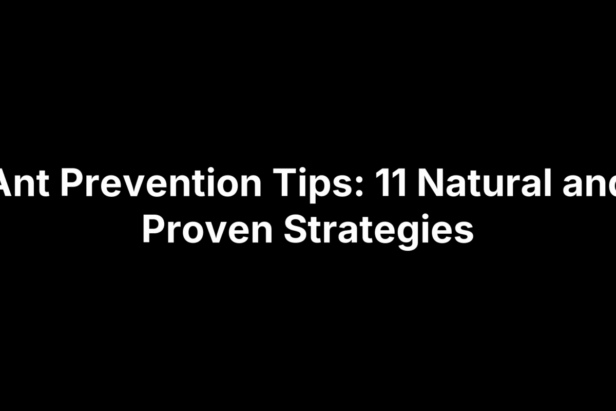 Ant Prevention Tips: 11 Natural and Proven Strategies