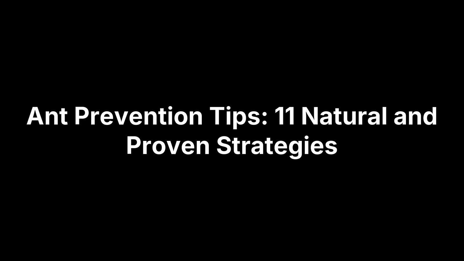 Ant Prevention Tips: 11 Natural and Proven Strategies