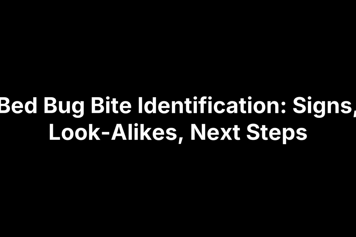 Bed Bug Bite Identification: Signs, Look-Alikes, Next Steps