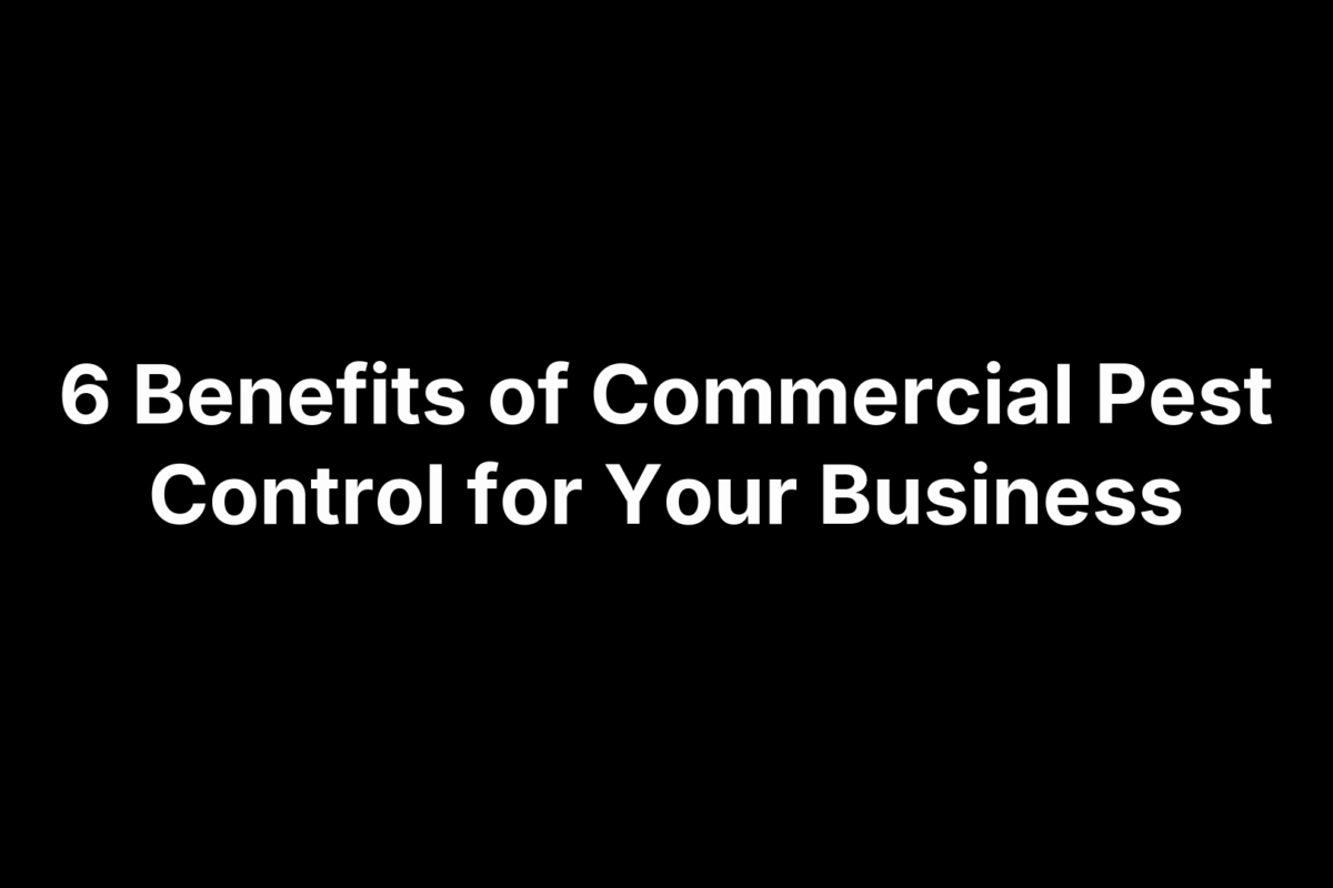 6 Benefits of Commercial Pest Control for Your Business