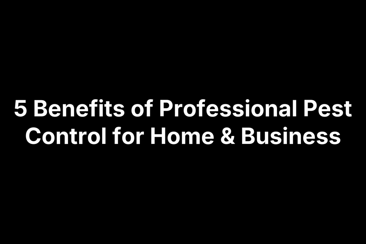 5 Benefits of Professional Pest Control for Home & Business