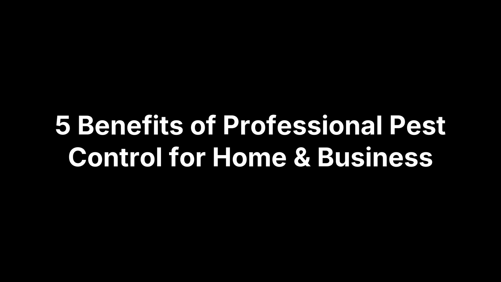 5 Benefits of Professional Pest Control for Home & Business