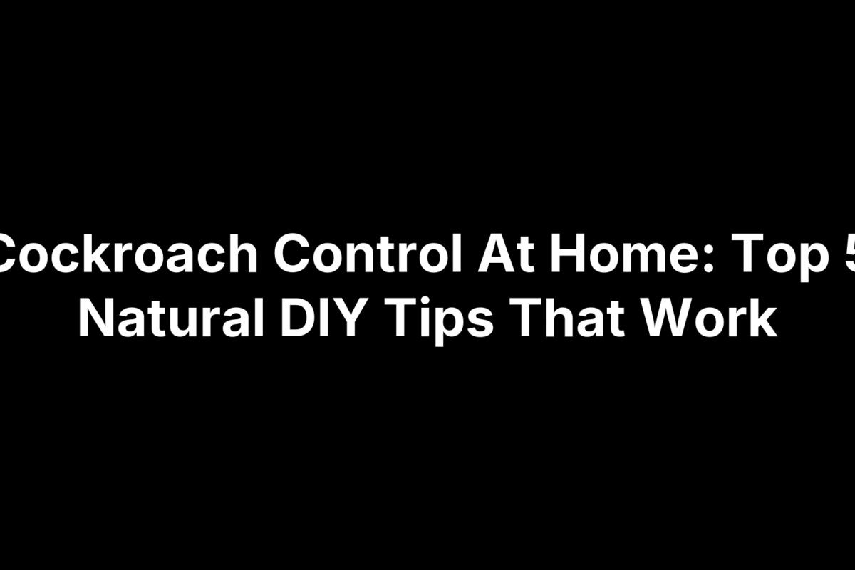 Cockroach Control At Home: Top 5 Natural DIY Tips That Work
