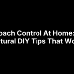 Cockroach Control At Home: Top 5 Natural DIY Tips That Work