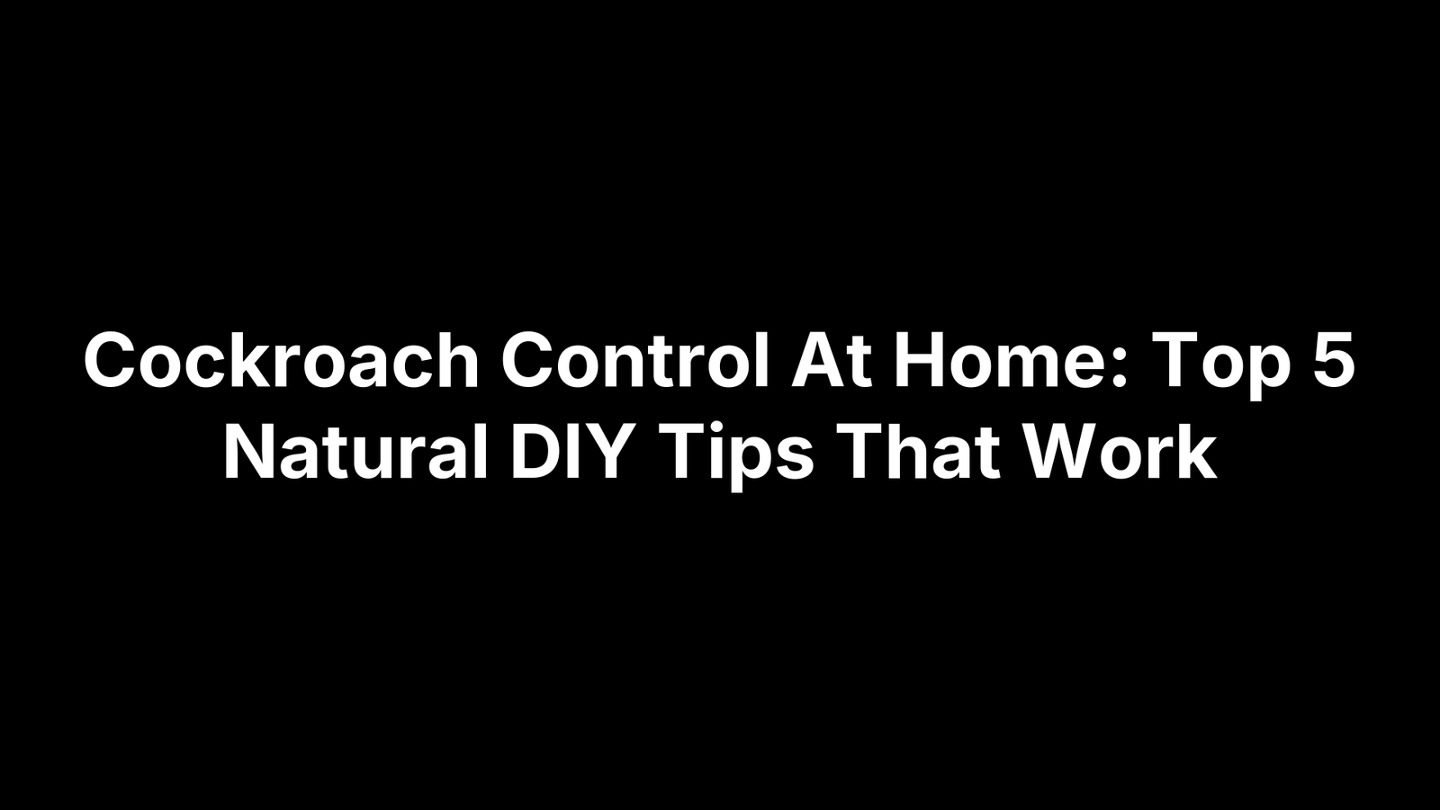 Cockroach Control At Home: Top 5 Natural DIY Tips That Work