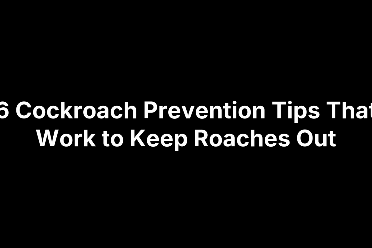 6 Cockroach Prevention Tips That Work to Keep Roaches Out