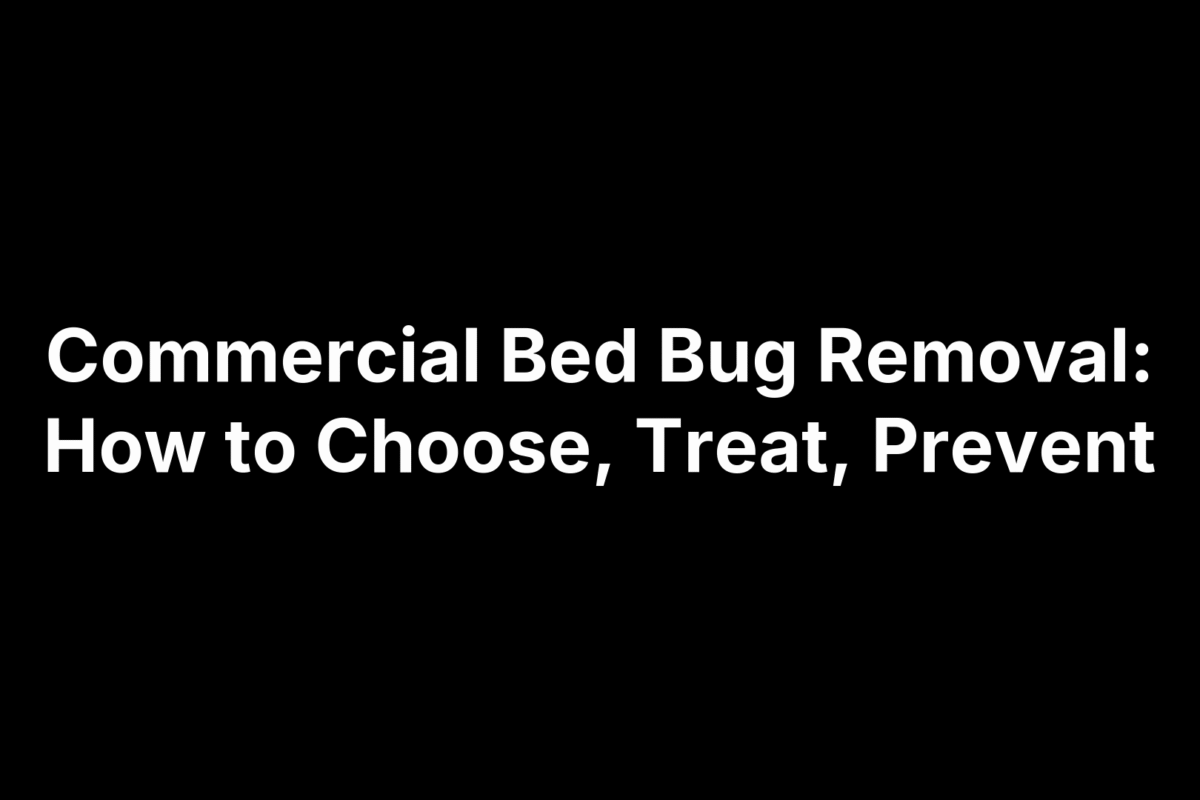 Commercial Bed Bug Removal: How to Choose, Treat, Prevent