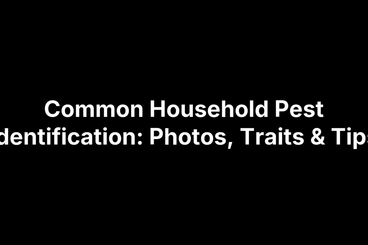 Common Household Pest Identification: Photos, Traits & Tips
