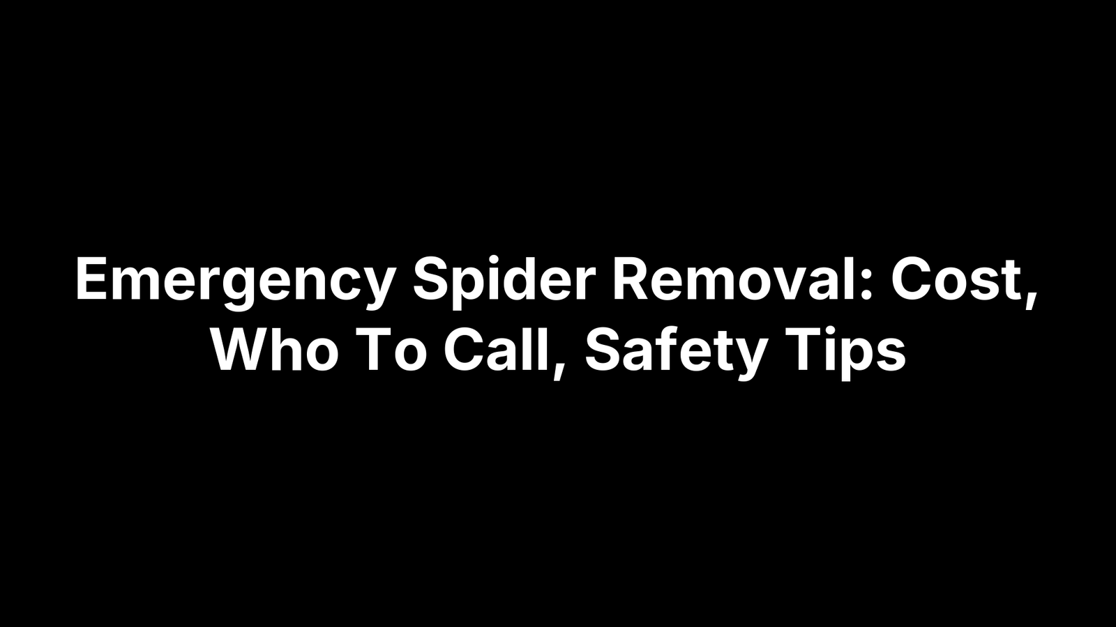 Emergency Spider Removal: Cost, Who To Call, Safety Tips
