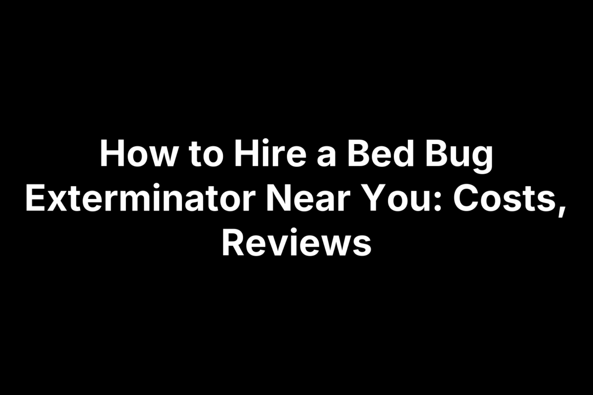 How to Hire a Bed Bug Exterminator Near You: Costs, Reviews