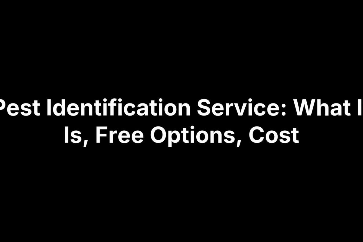 Pest Identification Service: What It Is, Free Options, Cost