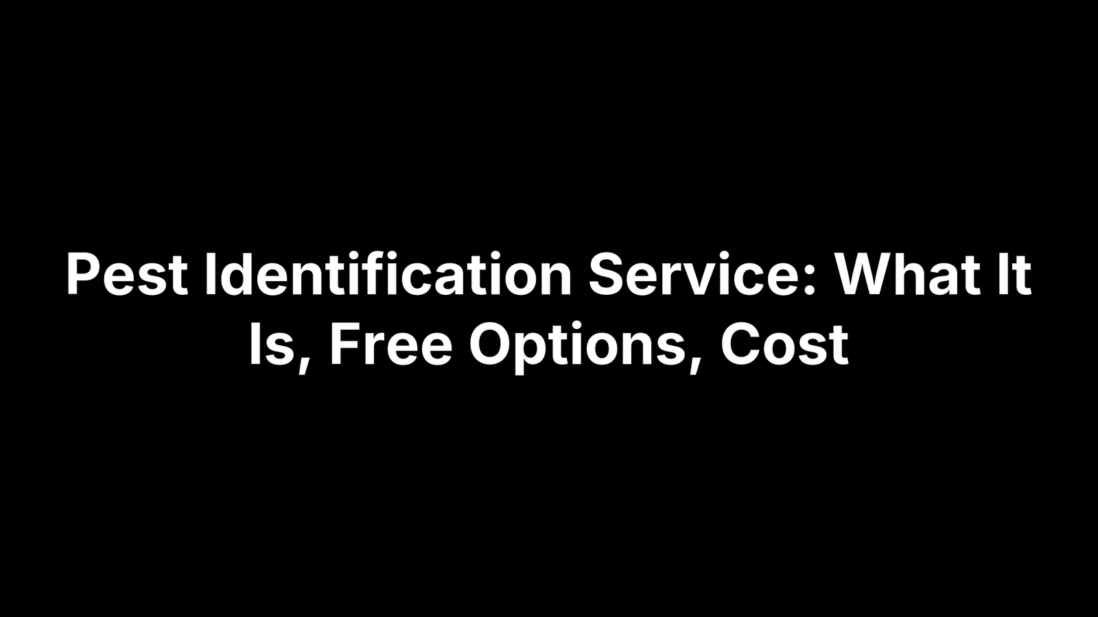 Pest Identification Service: What It Is, Free Options, Cost