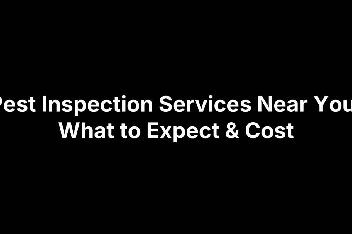 Pest Inspection Services Near You: What to Expect & Cost