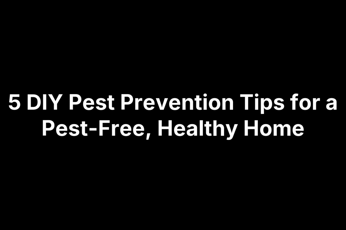 5 DIY Pest Prevention Tips for a Pest-Free, Healthy Home