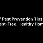5 DIY Pest Prevention Tips for a Pest-Free, Healthy Home