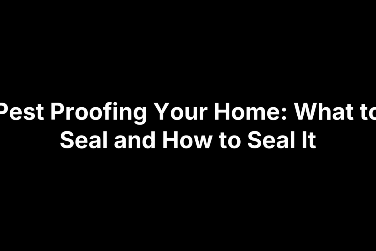 Pest Proofing Your Home: What to Seal and How to Seal It