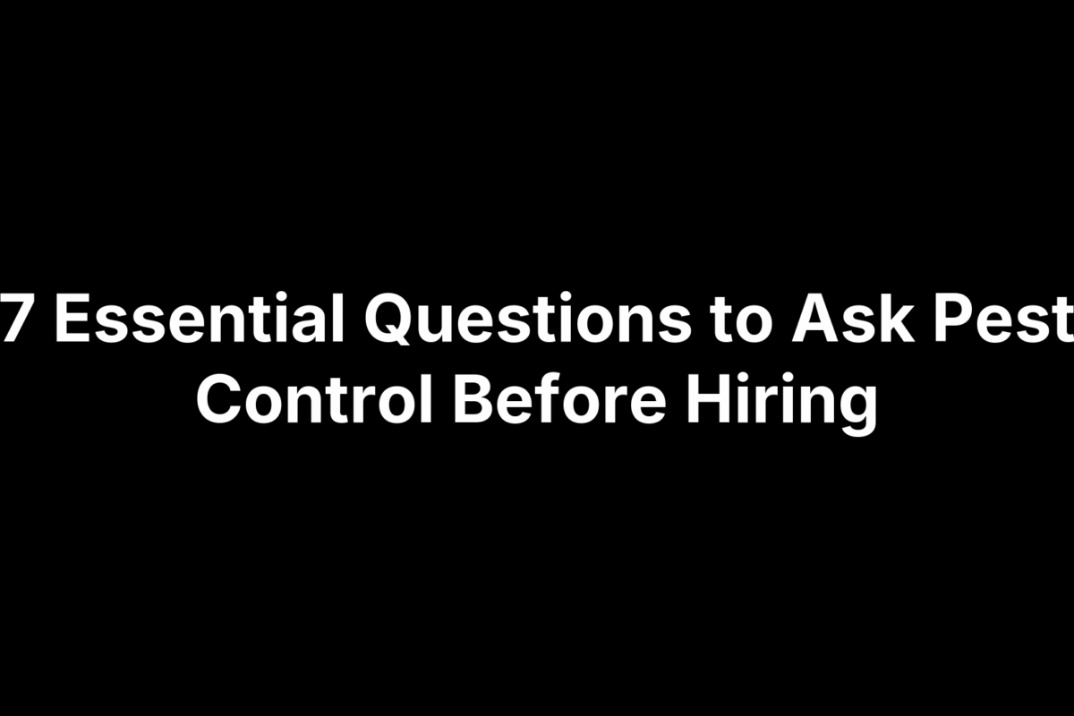 7 Essential Questions to Ask Pest Control Before Hiring