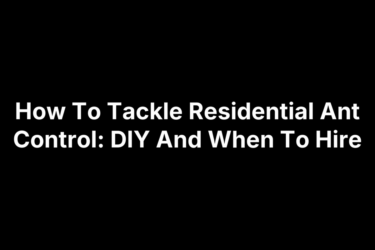 How To Tackle Residential Ant Control: DIY And When To Hire