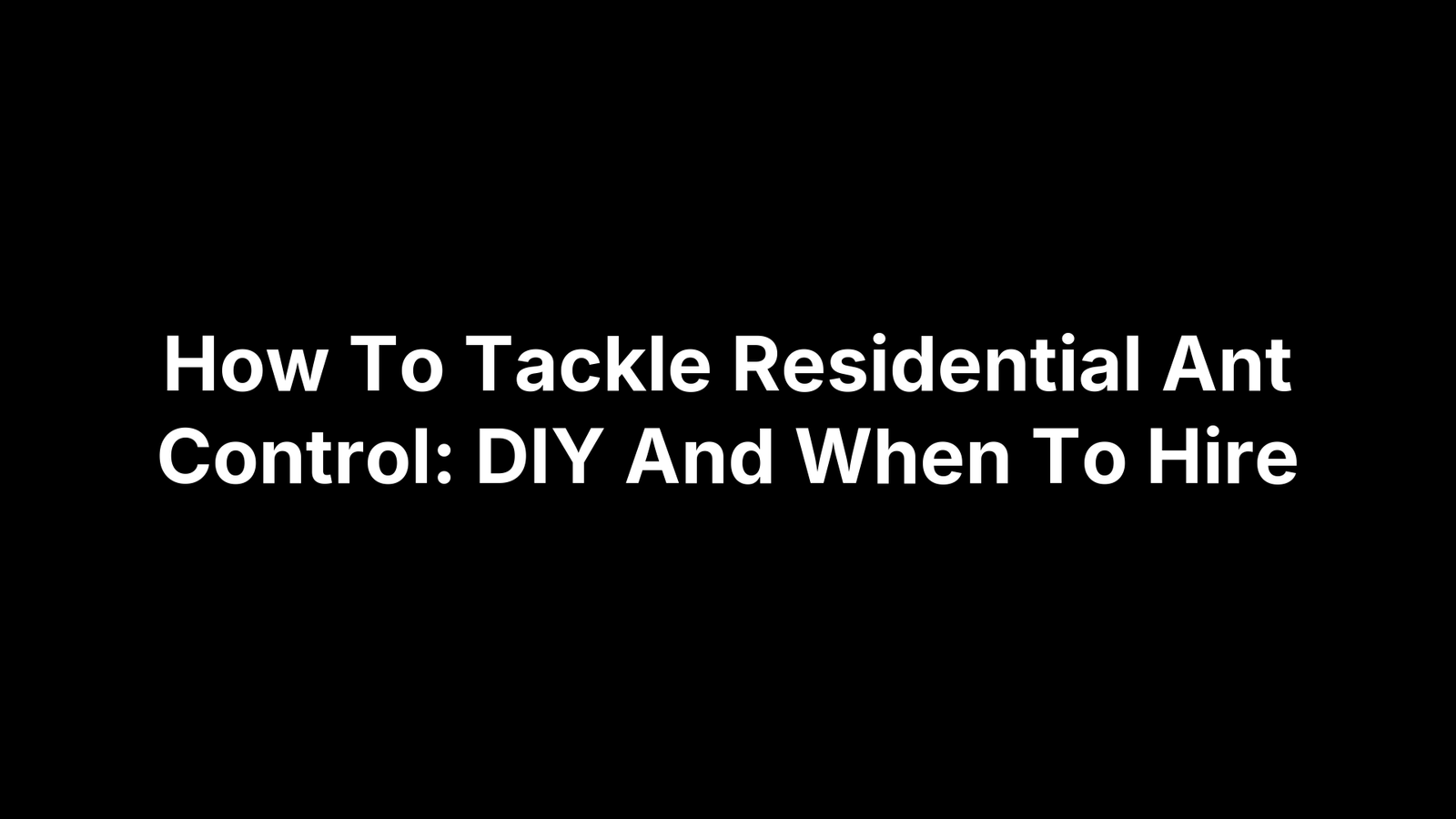 How To Tackle Residential Ant Control: DIY And When To Hire