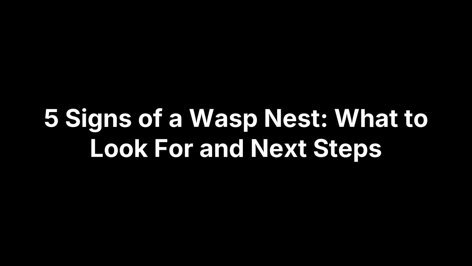 5 Signs of a Wasp Nest: What to Look For and Next Steps