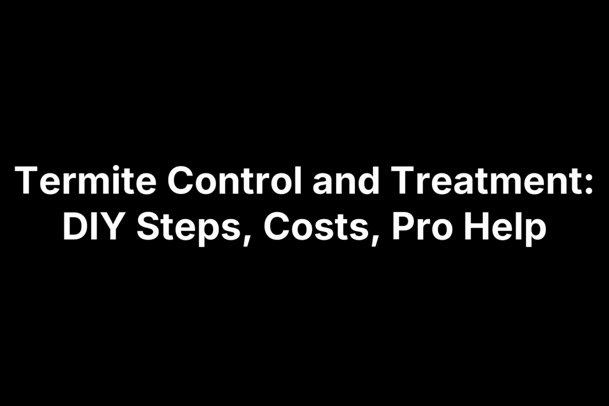 Termite Control and Treatment: DIY Steps, Costs, Pro Help