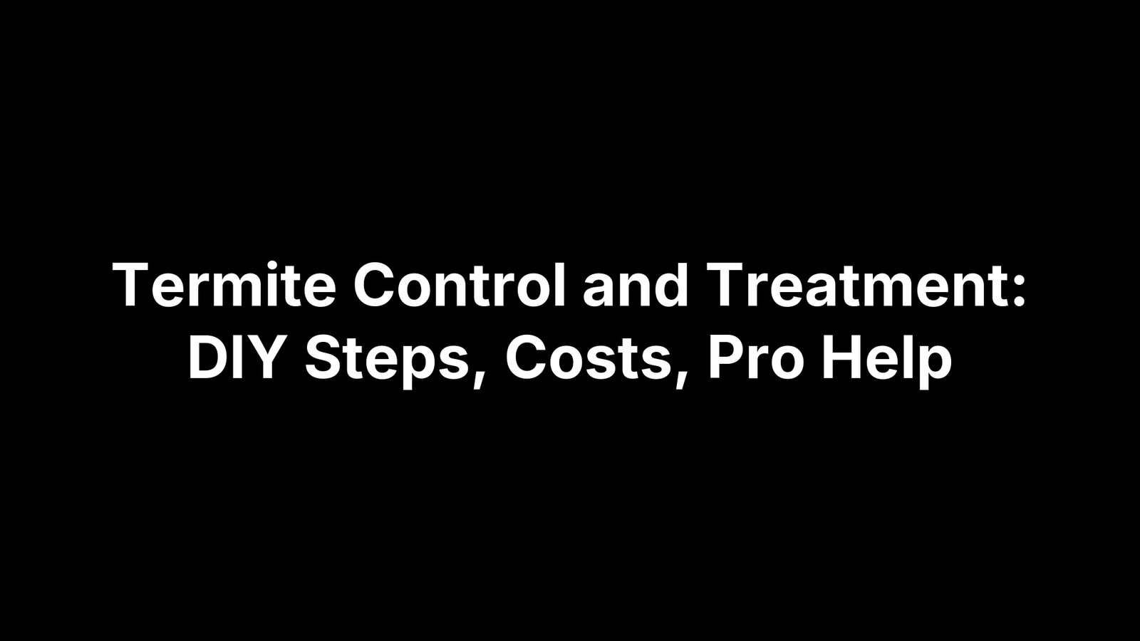 Termite Control and Treatment: DIY Steps, Costs, Pro Help