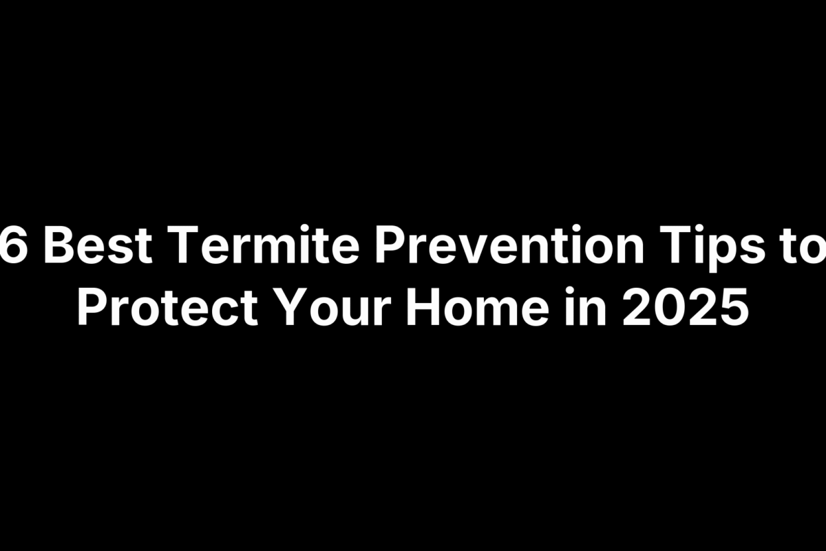 6 Best Termite Prevention Tips to Protect Your Home in 2025