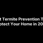 6 Best Termite Prevention Tips to Protect Your Home in 2025