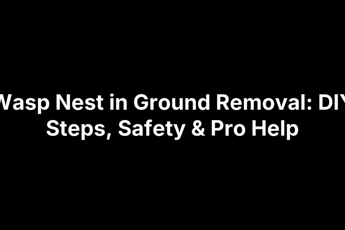 Wasp Nest in Ground Removal: DIY Steps, Safety & Pro Help