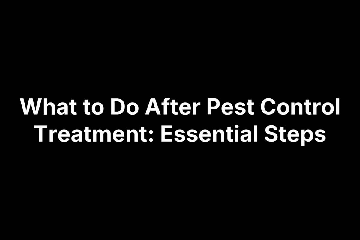 What to Do After Pest Control Treatment: Essential Steps