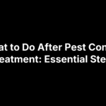 What to Do After Pest Control Treatment: Essential Steps