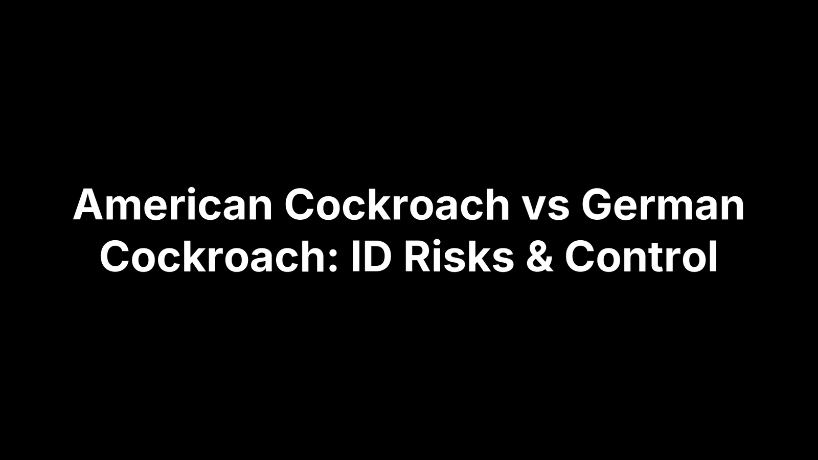 American Cockroach vs German Cockroach: ID Risks & Control