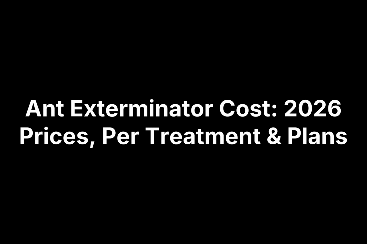 Ant Exterminator Cost: 2026 Prices, Per Treatment & Plans