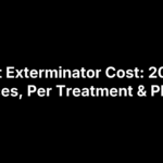 Ant Exterminator Cost: 2026 Prices, Per Treatment & Plans