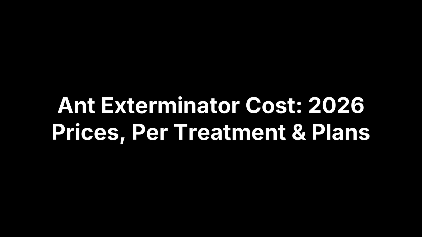 Ant Exterminator Cost: 2026 Prices, Per Treatment & Plans