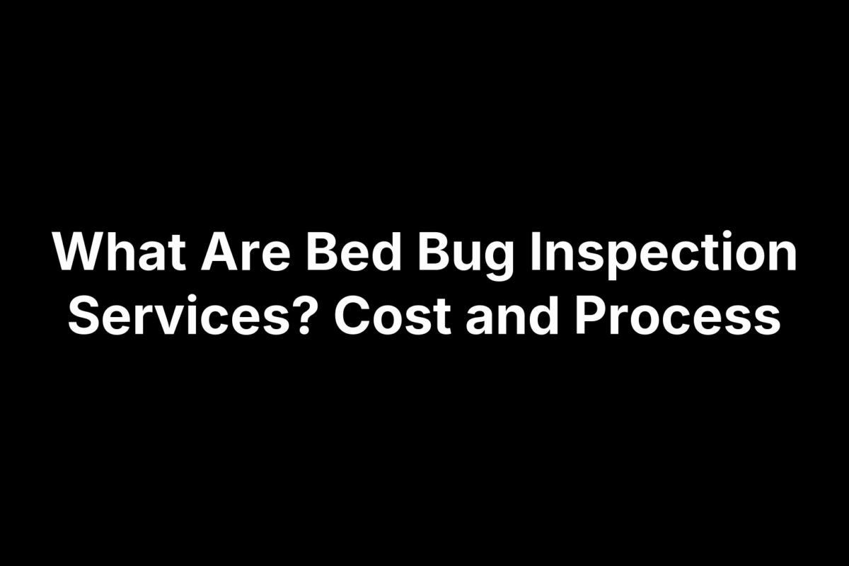 What Are Bed Bug Inspection Services? Cost and Process
