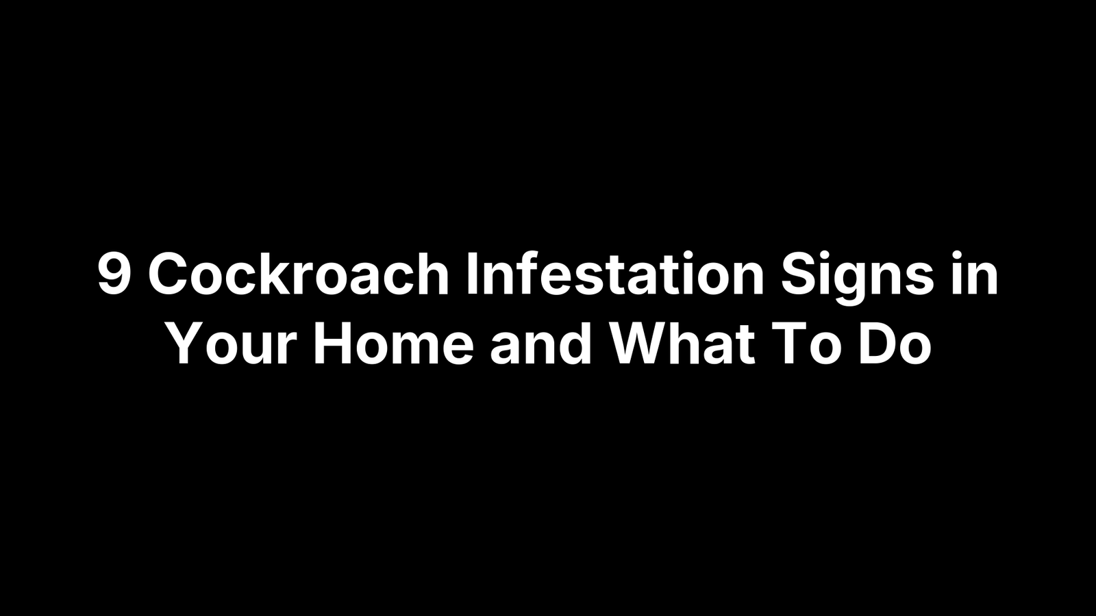 9 Cockroach Infestation Signs in Your Home and What To Do