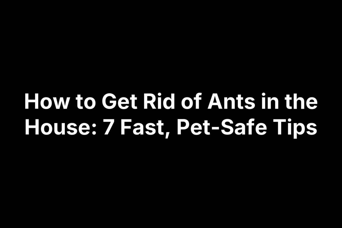 How to Get Rid of Ants in the House: 7 Fast, Pet-Safe Tips