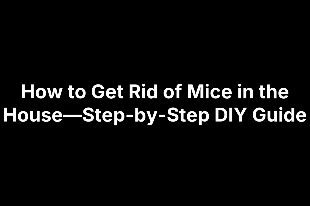 How to Get Rid of Mice in the House—Step-by-Step DIY Guide